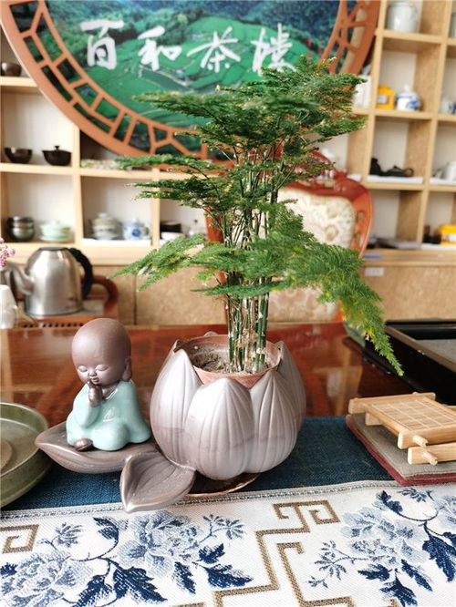 2021新媒體頂級茶館揭曉 山東煙臺抖音人氣網(wǎng)紅茶館服務(wù)解析