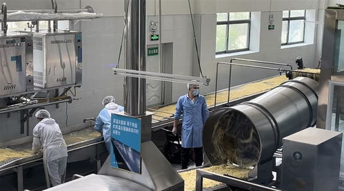 從甜茶館商標注冊看拉薩服務(wù)創(chuàng)新與監(jiān)管協(xié)同